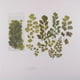 thumbnail image 3 of 6pcs/pack Flower Shop Series Decorative Stickers - Perfect for Scrapbooking, Labeling, Diary Albums & More!, 3 of 5