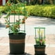 thumbnail image 2 of 1 Set, Flower Rack Bracket Can Be Spliced ​​flower Bracket Support Ring Support Rod Indoor Plant Flower Rack Balcony Branches Climbing Rattan Rack, 2 of 3