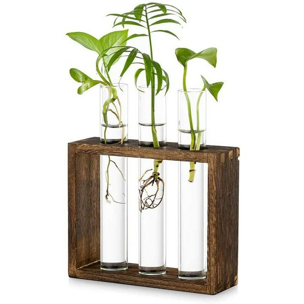 Maceta colgante de cristal para mesa, estación de propagación, moderna maceta con 3 tubos de ensayo y capullos de flores en soporte de madera, terrario de mesa para esquejes de plantas hidropónicas, d