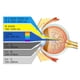 thumbnail image 5 of Gafas De Seguridad Láser Para Protección Láser 1064 Nm, 5 of 7