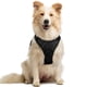thumbnail image 1 of Arnés para perros Rabbitgoo, ajustable, sin tirones, negro, para perros medianos, 1 of 9