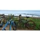 thumbnail image 5 of Porta Tabla de Surf para Bicicleta para Longboard y SUP, 5 of 9