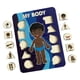 thumbnail image 3 of Rompecabezas De Madera Con Forma De Humano Para Niños Pequeños De 3 Años En Adelante Juguetes Preescolares Para Niños Pequeños, 3 of 5