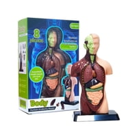 Genérico - Figura Cuerpo Humano 8 Piezas