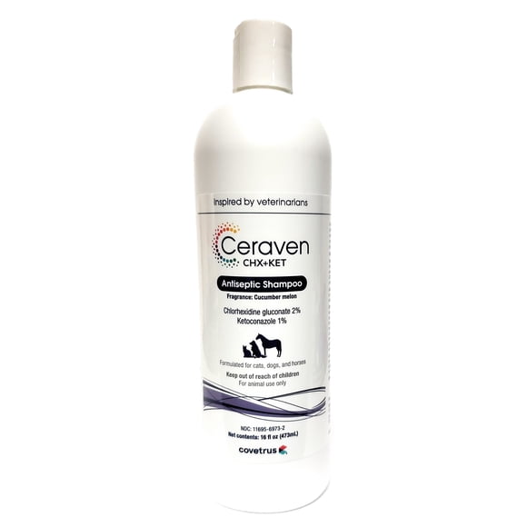 Shampoo Ceraven Chx+ Ket (antes Phytovet Ck) 480 Ml