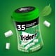 thumbnail image 2 of Chicle Sin Azúcar Botella Sabor Yerbabuena, 45,5 g, 2 of 4