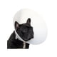 thumbnail image 3 of Collar Isabelino Para Mascotas Buster Classic 25 Cm, 3 of 6