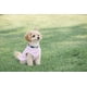 thumbnail image 4 of Chaleco polar JACKO & CO para perros pequeños y medianos, 4 of 8