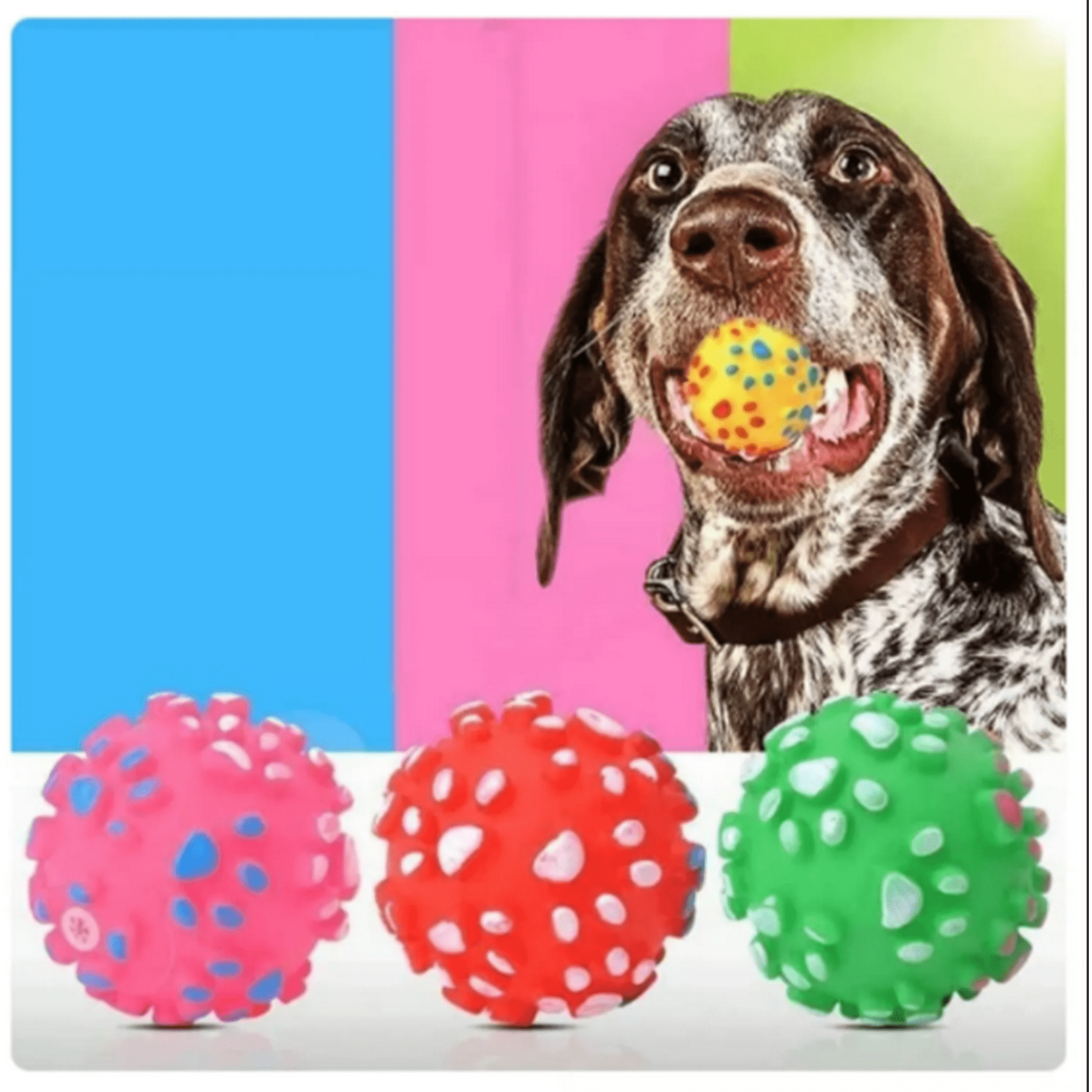 Genérico - Pelota Para Morder Con Forma De Pata Para Perros Set 3