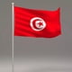 thumbnail image 2 of Bandera nacional oficial de la Copa Mundial 2026, 90 x 150 cm, con ojales de latón, 2 of 5
