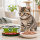 thumbnail image 5 of N&D Prime Kitten Chicken & Pomegranate Alimento Húmedo 80 g, 5 of 5