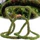 thumbnail image 1 of Enredadera para reptiles USMOLA 198 cm Musgo flexible verde selva, 1 of 7