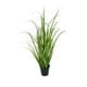 thumbnail image 1 of Pasto Crespo 91cm Artificial, 1 of 3