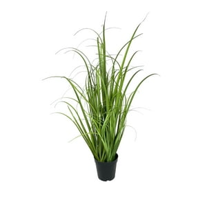 Corel - Pasto Crespo 91Cm Artificial