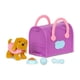 thumbnail image 4 of Set de cachorros coleccionables Pucci Pups Bichon Frisee Yorkshire Terrier Cocker Spaniel con bolsa de transporte y accesorios para más de 3 años, 4 of 4