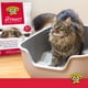 thumbnail image 4 of Arena para gatos Dr. Elsey's Cat Attract, arcilla aglutinante, 8,16 kg, 4 of 6
