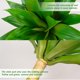 thumbnail image 4 of Plantas artificiales de agave Ttranewsoo, grandes, resistentes a los rayos UV, paquete de 2, 4 of 9