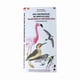 thumbnail image 1 of Guia Desplegable Aves Continentales Del Norte De Chile, 1 of 1