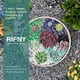 thumbnail image 3 of Rocas decorativas pulidas RIFNY, 680 g, gravilla verde, 3 of 7