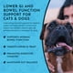 thumbnail image 5 of Animal Essentials Colon Rescue - Ayuda Digestiva para Mascotas 30 ml, 5 of 8