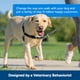 thumbnail image 3 of Arnés para perros PetSafe Easy Walk Stop, tamaño mediano, 3 of 6
