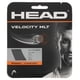 thumbnail image 1 of Raqueta de tenis String Head Velocity MLT, 12 m, calibre 16, negra, 1 of 2