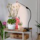 thumbnail image 5 of Temporizador FeciDA de espectro completo Clip On Grow Lights de 9 W y 1000 lm, 5 of 7