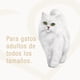 thumbnail image 3 of Alimento Húmedo Gato Adulto Sabor Carne Pouch, 3 of 5