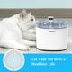 thumbnail image 5 of Filtro de repuesto para fuente de agua Cat WellToBe, paquete de 6, 5 of 5