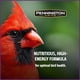 thumbnail image 4 of Semillas para pájaros silvestres Pennington Pride Songbird, frutos secos y frutos secos, 4,5 kg, 4 of 9