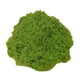 thumbnail image 1 of Plantas Verdes Artificiales, Plantas En Maceta, Manualidades, Relleno, Decoración Para Patio, 50G, Musgo Sintético, Verde Claro, 1 of 5
