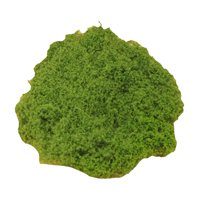 Bothyi - Plantas Verdes Artificiales, Plantas En Maceta, Manualidades, Relleno, Decoración Para Patio, 50G, Musgo Sintético, Verde Claro