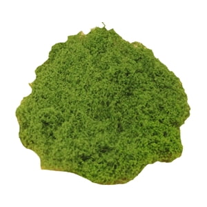 Bothyi - Plantas Verdes Artificiales, Plantas En Maceta, Manualidades, Relleno, Decoración Para Patio, 50G, Musgo Sintético, Verde Claro