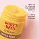 thumbnail image 5 of Manteca labial Burt's Bees vainilla y miel 15 ml hidratante, 5 of 9