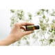 thumbnail image 3 of Aceite Esencial doTERRA Lemongrass 15 ml Cymbopogon 2 Pack, 3 of 3