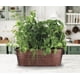 thumbnail image 4 of Kit De Cultivo Jardín Culinario De Cobre Con Albahaca Cilantro Y Cebollín, 4 of 6