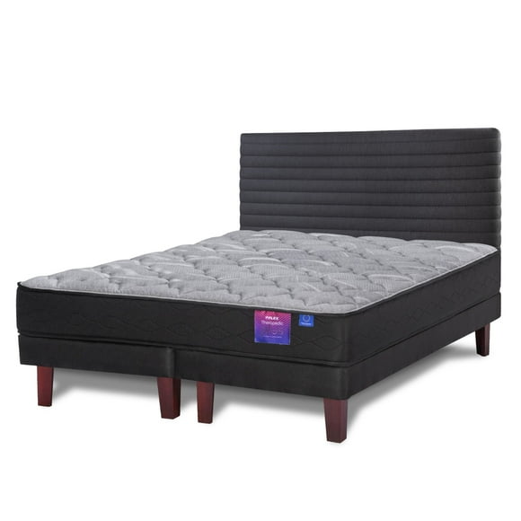 Cama Europea Therapedic Plus King + Respaldo Royal Modern Base Dividida