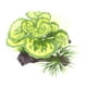 thumbnail image 5 of Decoraciones De Plantas De árboles De Acuario Decoraciones De Plantas Pequeñas Para Decoración De Peceras Estilo A, 5 of 5