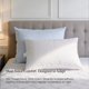 thumbnail image 3 of Almohada Blue Ridge Home Fashions King Size, juego de 2, 3 of 7