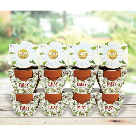 Set de 12 minimacetas de terracota Planter BUZZY Daydream