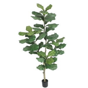 Corel - Árbol Ficus Lyrata 180Cm Artificial