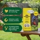 thumbnail image 2 of Aceite negro de semillas de girasol Wild Bird Food Happy Wings, 6,8 kg, 2 of 9