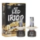 thumbnail image 1 of Kit Ampolletas Turbo Led Dakar IRX100 H4, 1 of 5