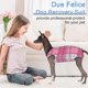 thumbnail image 5 of Traje De Recuperación Posquirúrgica Para Perro Rosa A Cuadros Talla Mediana, 5 of 5