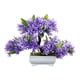thumbnail image 3 of Árbol De Bonsái Artificial, Decoración De Plantas Artificiales Para Granja, Estante De Oficina, Violeta, 3 of 5