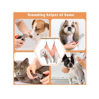 Genérico - Mascotas Colgante Gatos Y Perros Talla M Azul