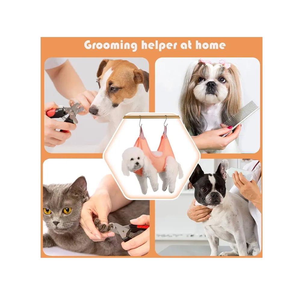 Genérico - Mascotas Colgante Gatos Y Perros Talla M Azul