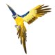 thumbnail image 5 of Realista Pájaro Artificial Pluma Loro Modelo Moderno Para El Hogar Jardín Porche Azul Amarillo, 5 of 5