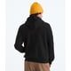 thumbnail image 2 of Sudadera con capucha The North Face Evolution Half Dome negra talla M, 2 of 3