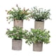 thumbnail image 5 of 4 Piezas De Pequeñas Plantas Falsas En Macetas Pequeñas Para Estante De Escritorio Estilo Hogareño, 5 of 5